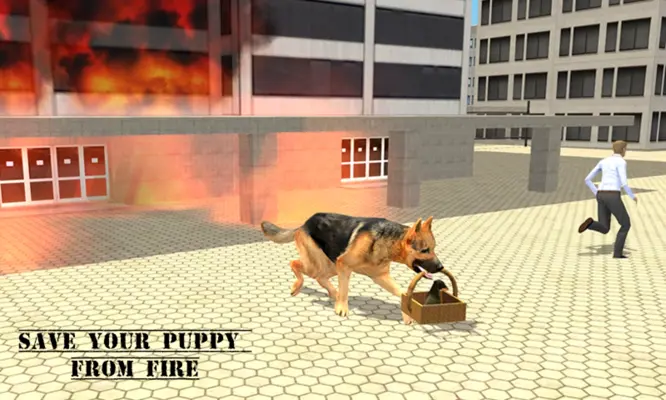 City Hero Dog Rescue android App screenshot 8